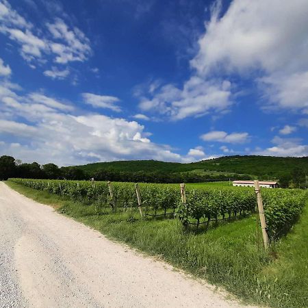 Agriturismo Andreis Alloggi Illasi Экстерьер фото