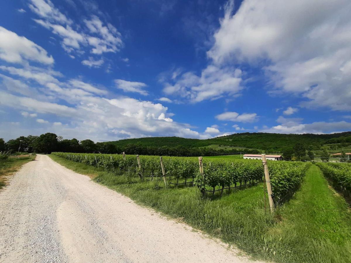 Agriturismo Andreis Alloggi Illasi Экстерьер фото